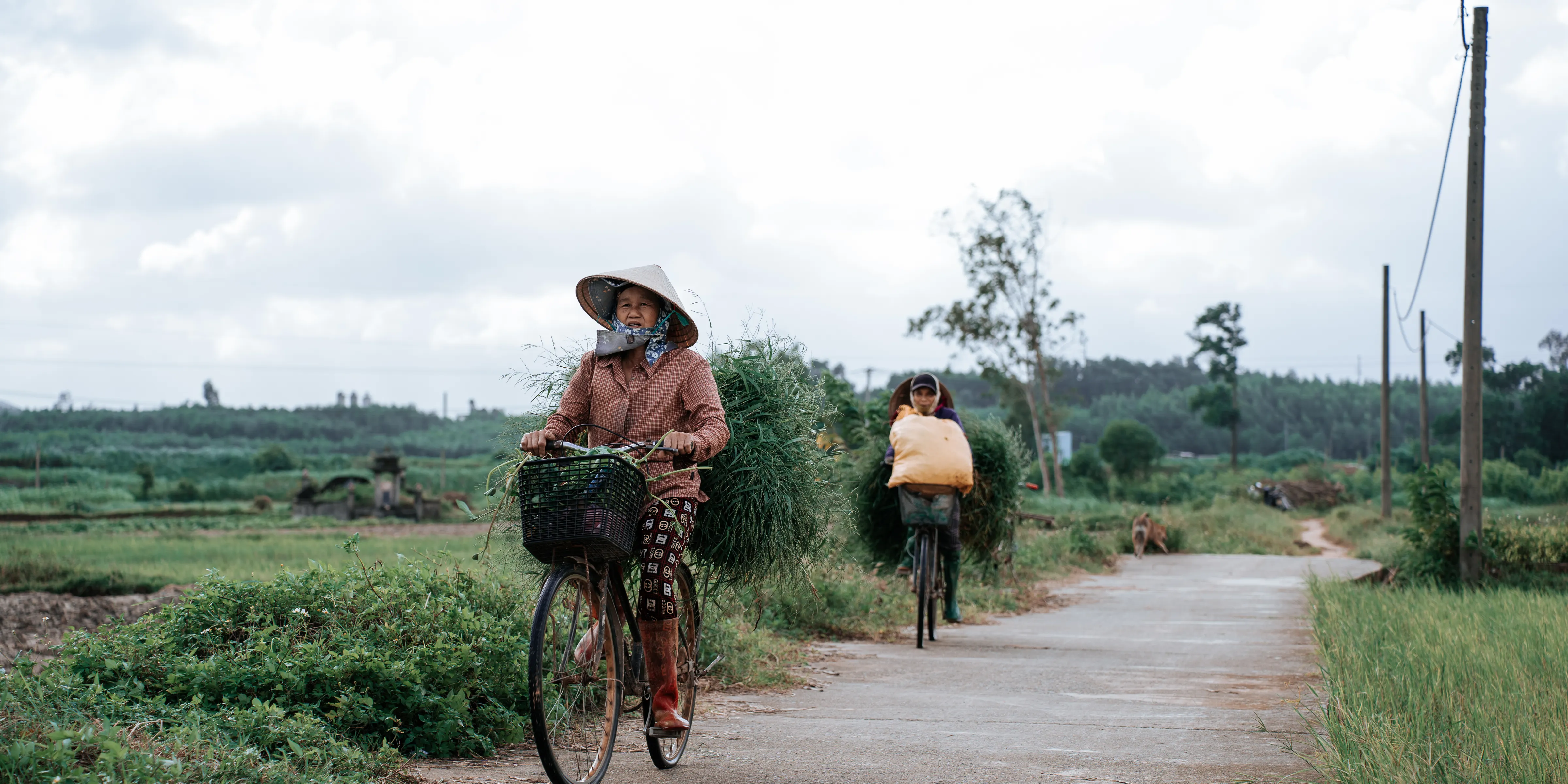 Hoi An Countryside Cycling & Cooking Class