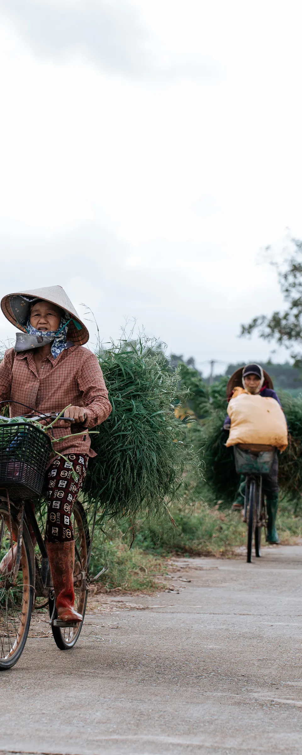 Hoi An Countryside Cycling & Cooking Class