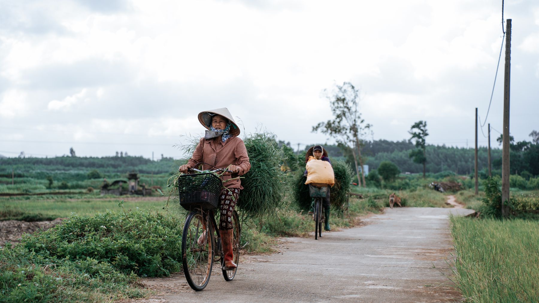 Elderly person and woman cycling along a rural path with scenic farmland view.