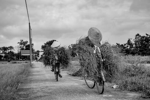 Men Riding on Bikes with Cereal in Black and White