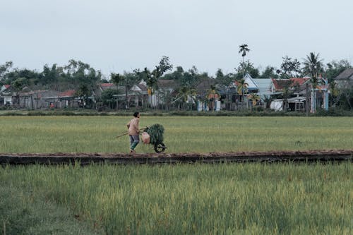 Woman Walking with Wheelbarrow in Village