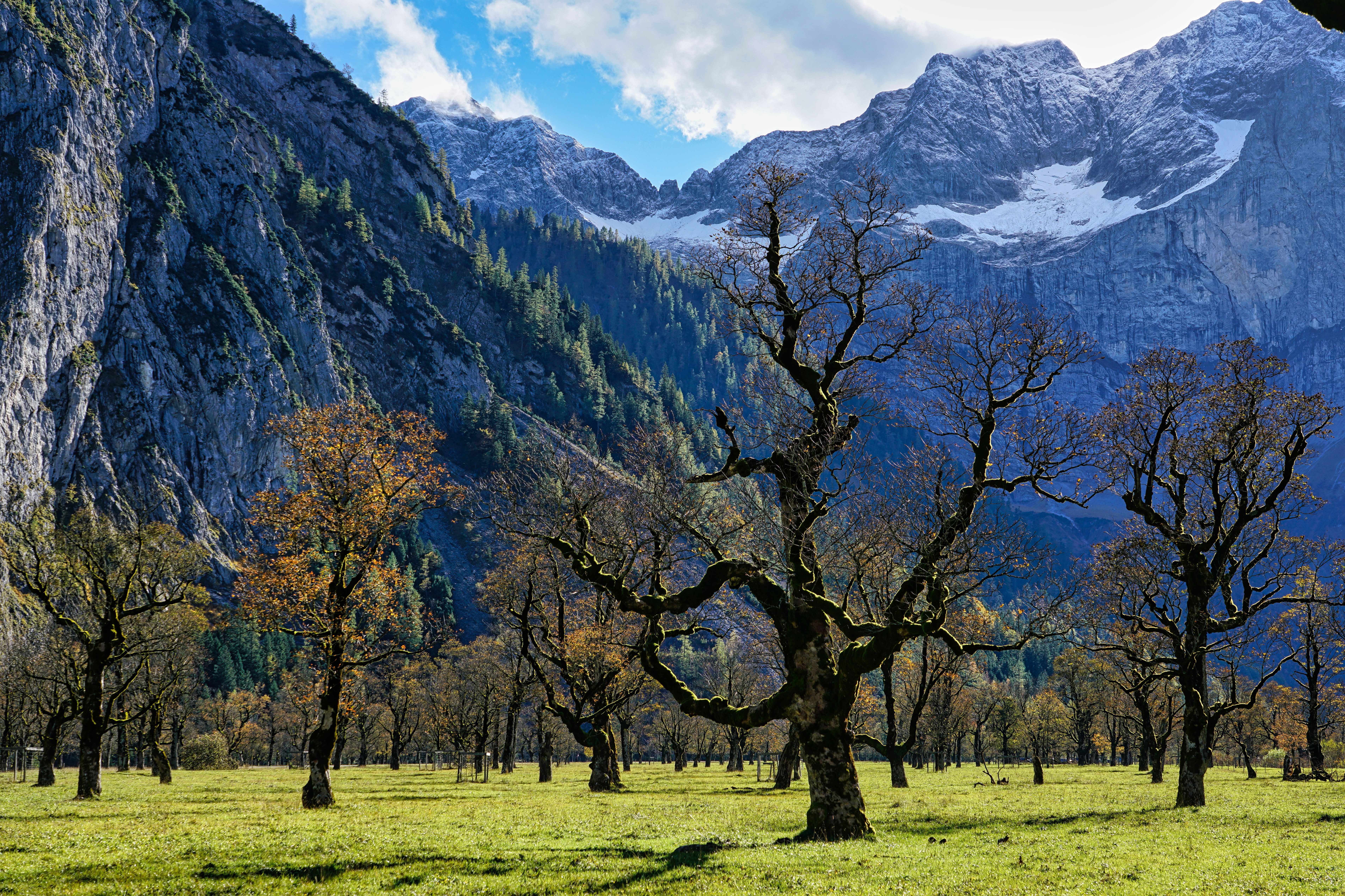 8 Day Tai Chi Workshop: 'The Way of Tai Chi Chuan" in Austria 1