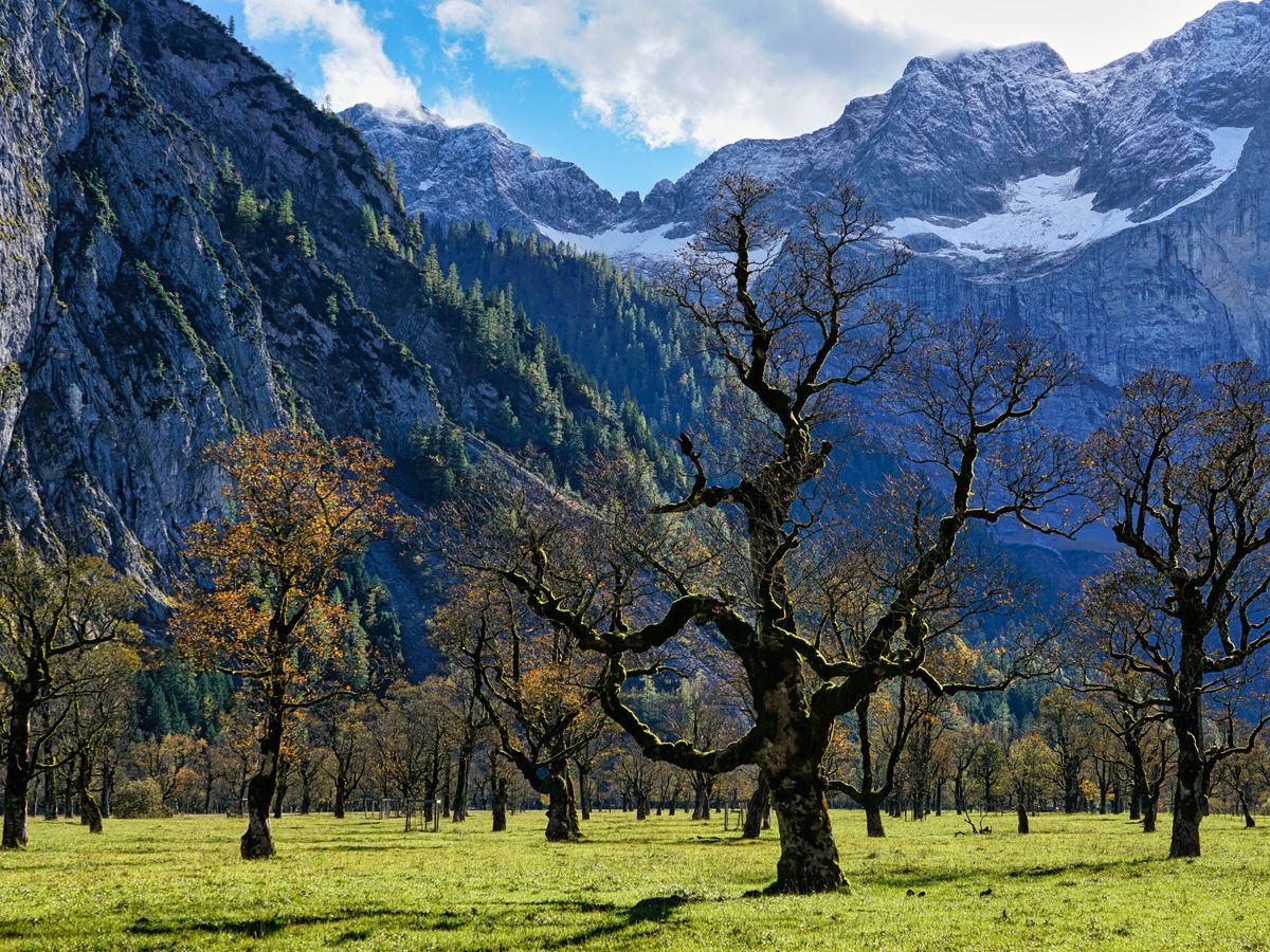 8 Day Tai Chi Workshop: 'The Way of Tai Chi Chuan" in Austria 1