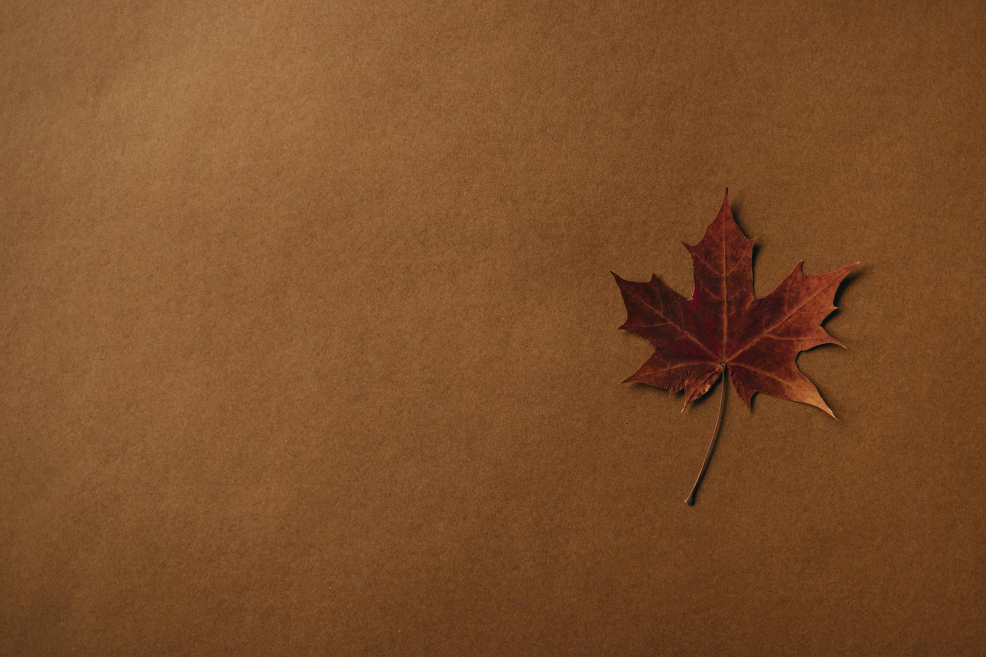 Single autumn maple leaf on a textured kraft paper background, perfect for fall-themed designs.