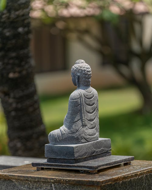 Fotobanka s bezplatnými fotkami na tému Buddha, budhista, duchovno