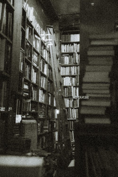 Foto stok gratis buku-buku, grayscale, hitam & putih