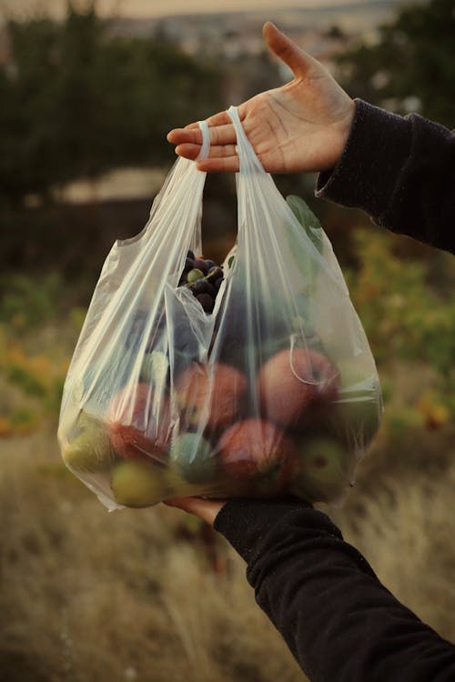 Person Holding a Plastic Bag with Apples and Grapes 