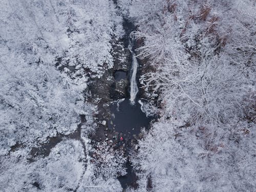 Stream with Waterfall in Forest in Winter