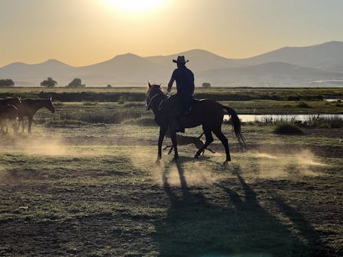 Ingyenes stockfotó alkonyat, biciklizik, cowboy témában