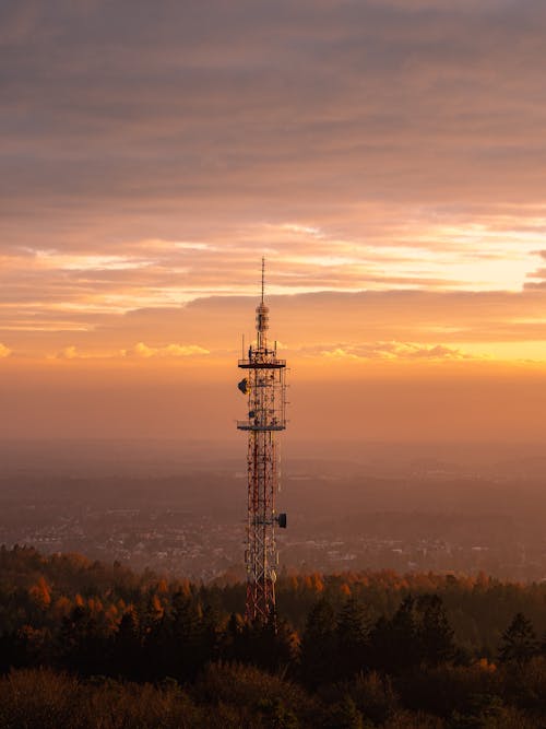 Broadcast Tower in Forest at Sunset