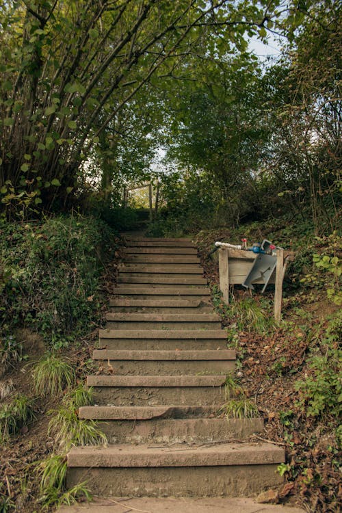Steps in Park