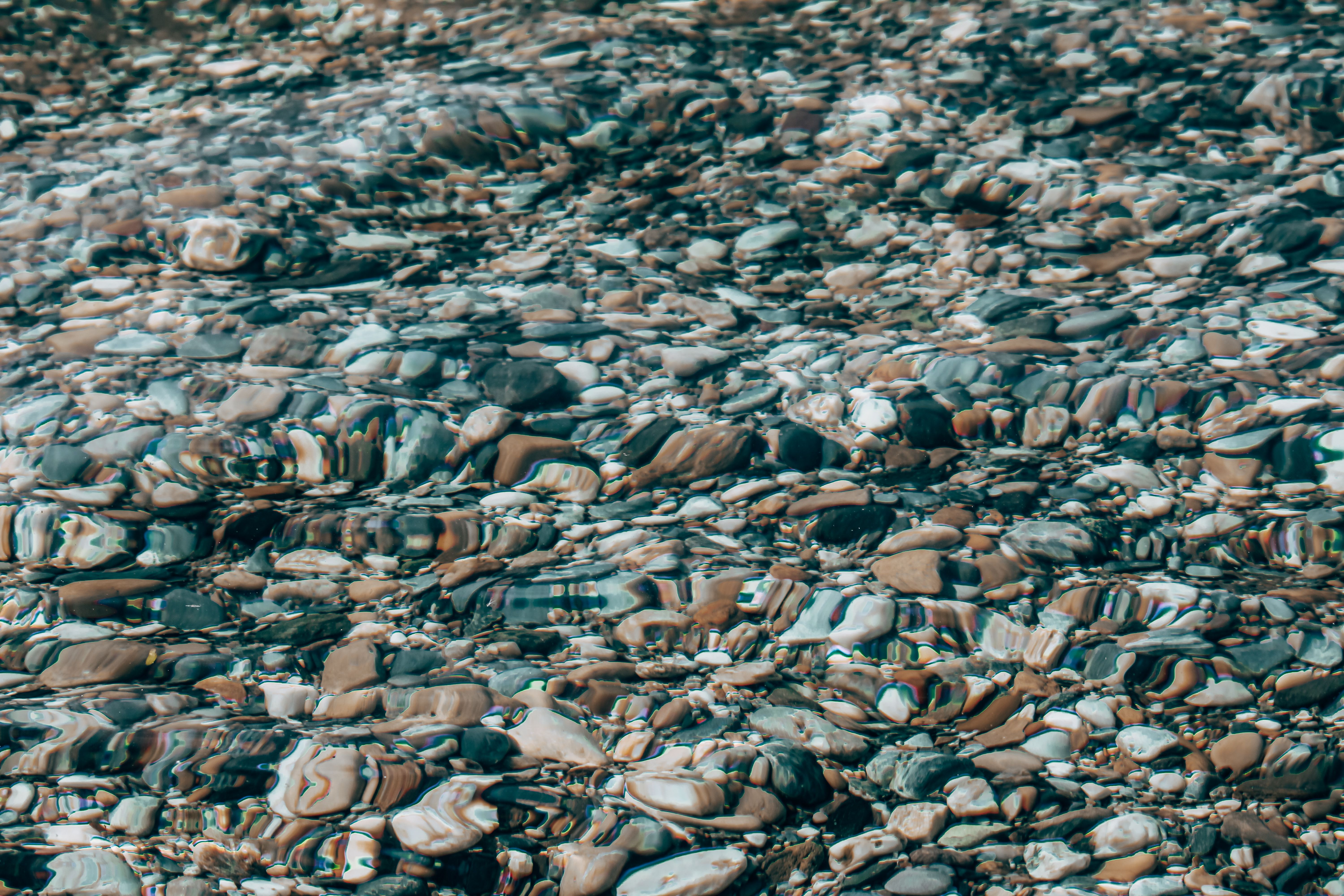 Stones in a Stream · Free Stock Photo