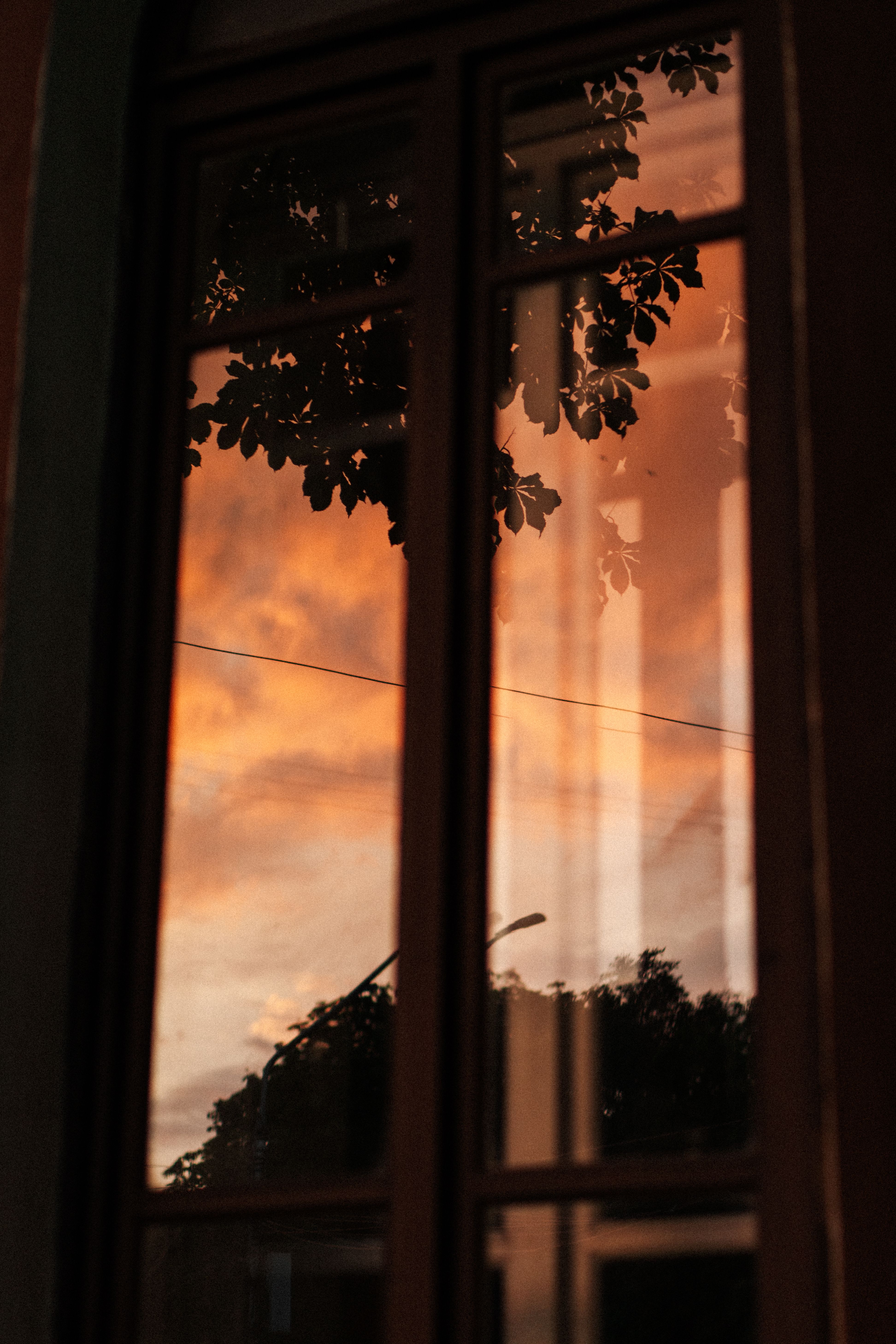 Silhouette of a Tree Seen From a Window · Free Stock Photo
