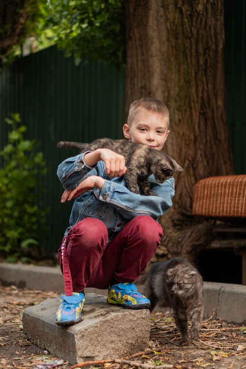 Free A young boy playing with kittens in a lush outdoor garden, embodying joy and nature. Stock Photo