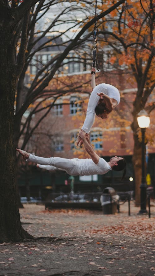 Performers Hanging from Tree in City in Autumn
