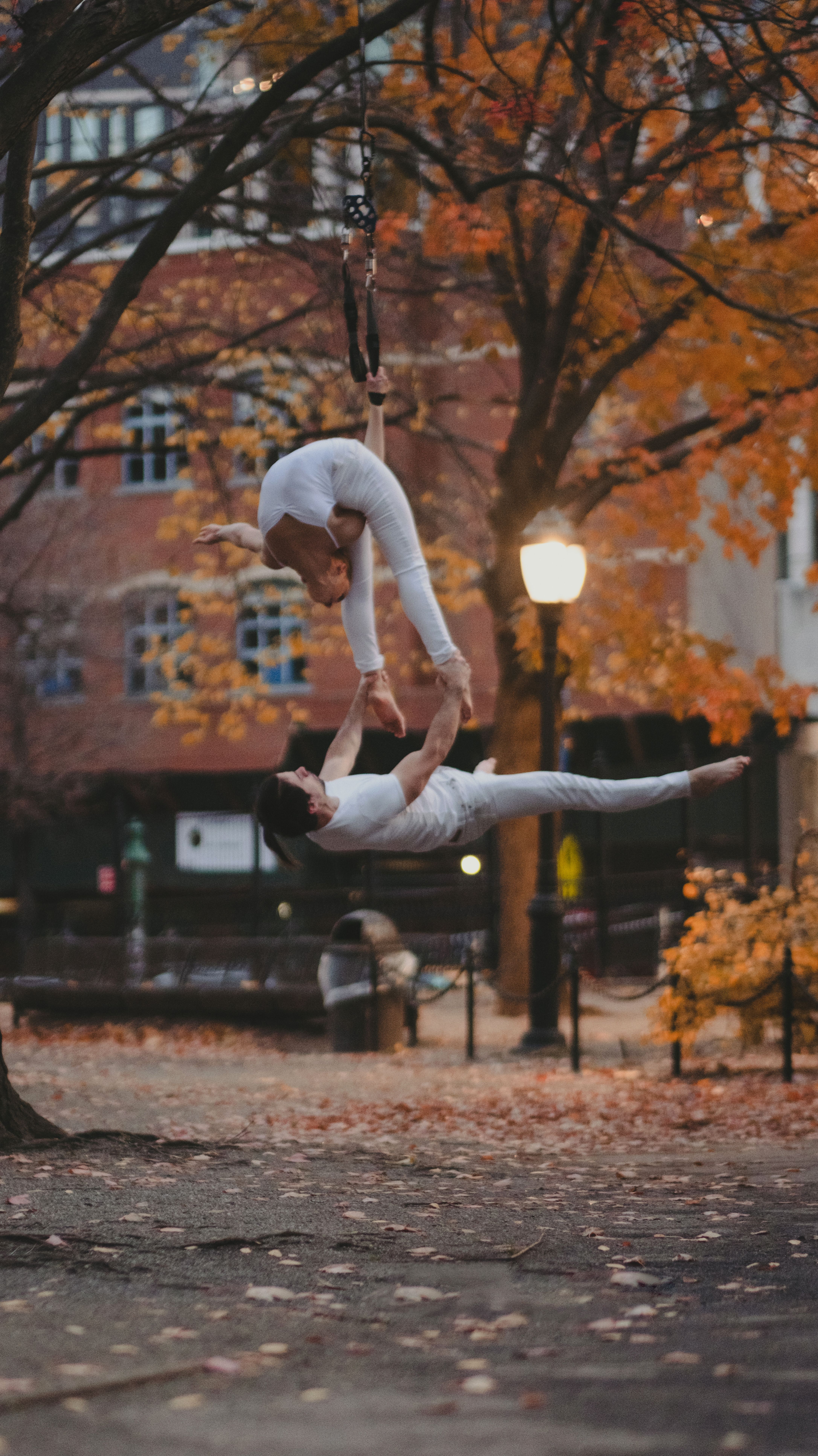 Woman and Man Performing Gymnastics in Park · Free Stock Photo