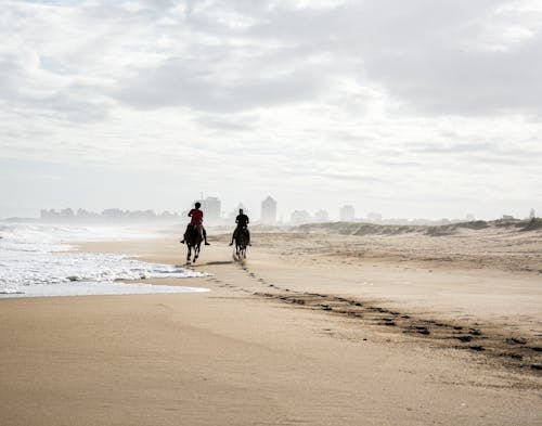 Men Riding Horses on Beach