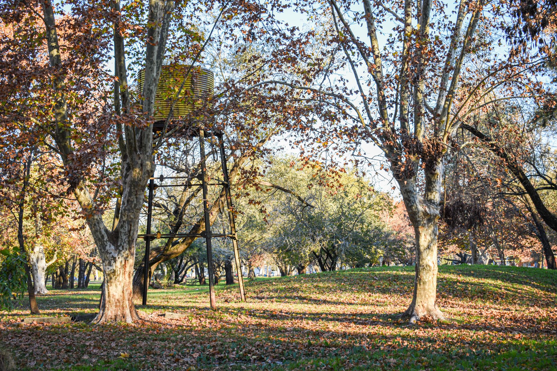 Serene autumn scene with trees and water tank in a park in Gualeguaychú, Argentina.