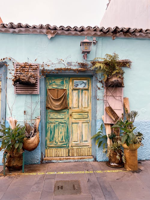 Old Entrance Decorated with Potted Plants