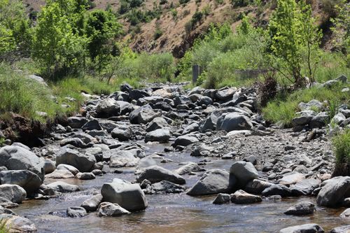 Free Peaceful stream flows through rocky landscape in Kuşhane, Türkiye, surrounded by lush greenery. Stock Photo