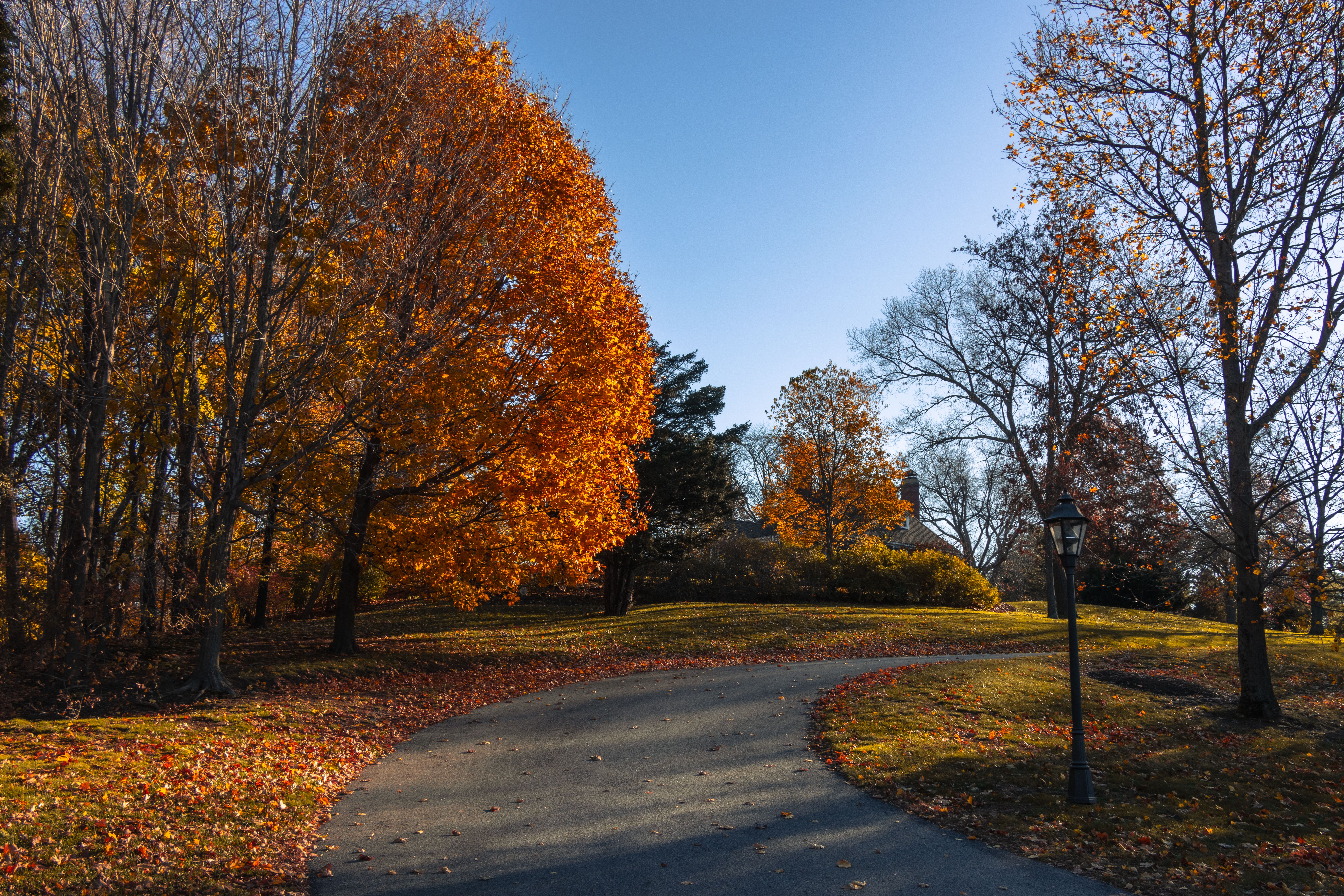 Batsford Arboretum