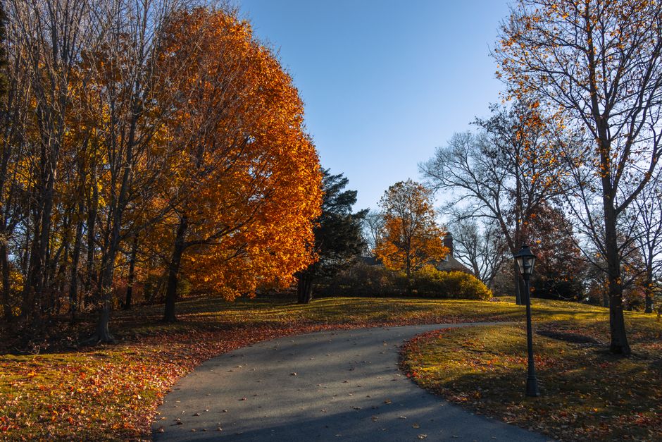 Batsford Arboretum