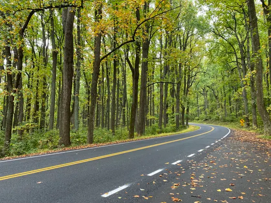 A Skyline Drive overlook above the Shenandoah Valley