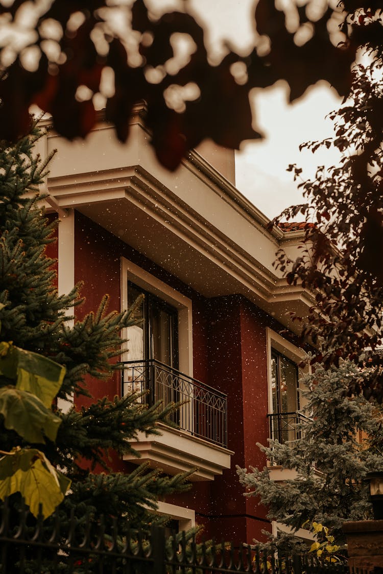 Trees Around House Balcony