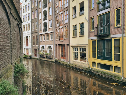 Základová fotografie zdarma na téma Amsterdam, budova, čtvercový formát