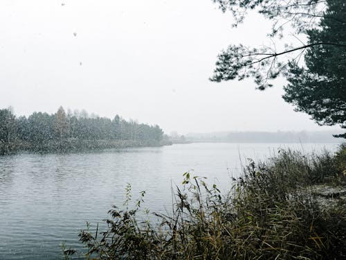 Darmowe zdjęcie z galerii z natura, opady śniegu, pogoda