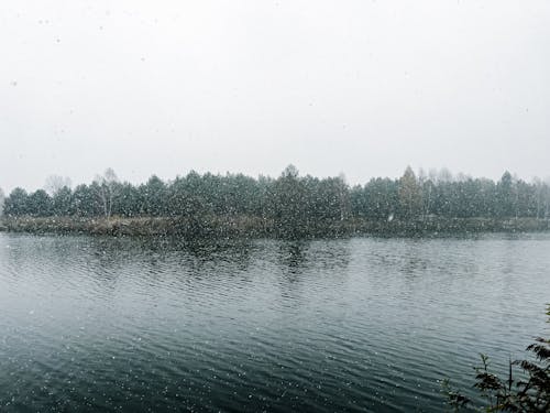 Darmowe zdjęcie z galerii z natura, opady śniegu, pogoda