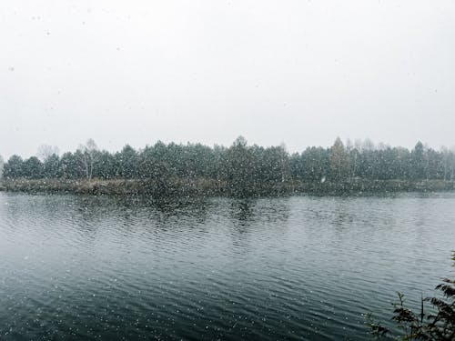 Fotobanka s bezplatnými fotkami na tému chladný, počasie, príroda