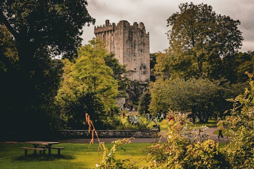 Kostnadsfri bild av blarney slott, byggnad, fäste