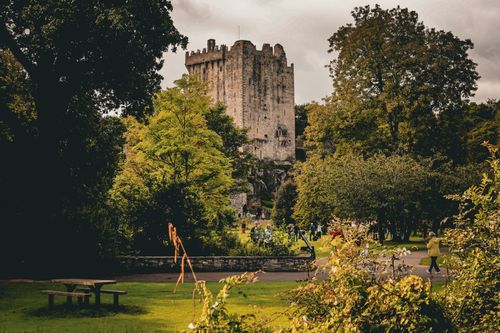 Bawn in Castlepark