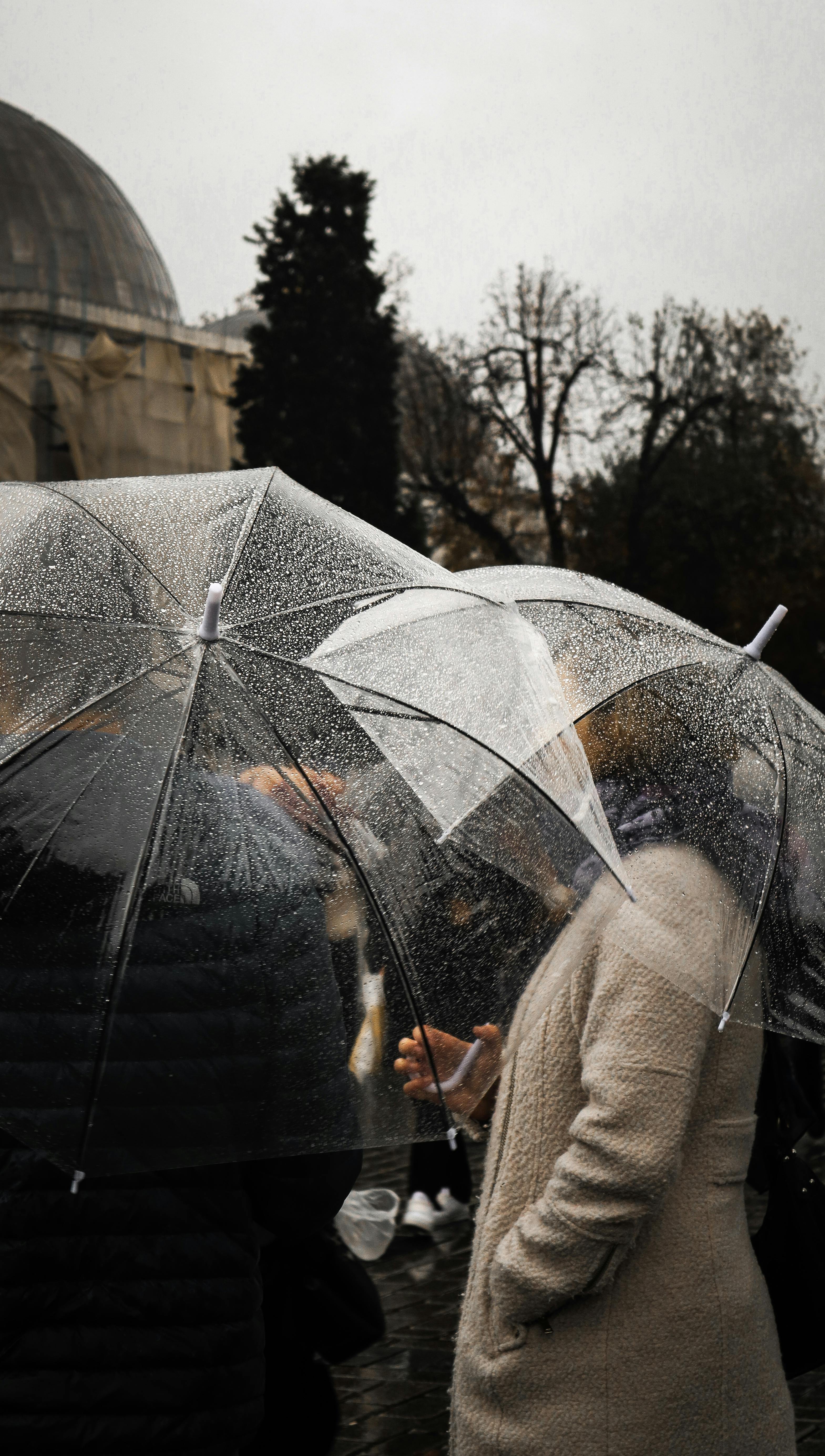 People with umbrellas walking on a rainy city street, showcasing wet weather and vibrant urban life.