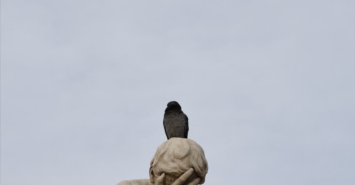 Distraught Bird Bird on the Sculpture of a Distraught Cain in Paris Tuileries Garden ...