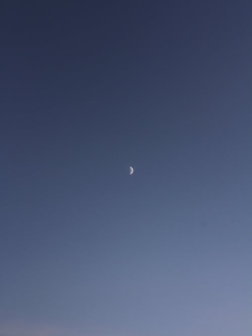 Crescent Moon on the Background of a Clear Sky 