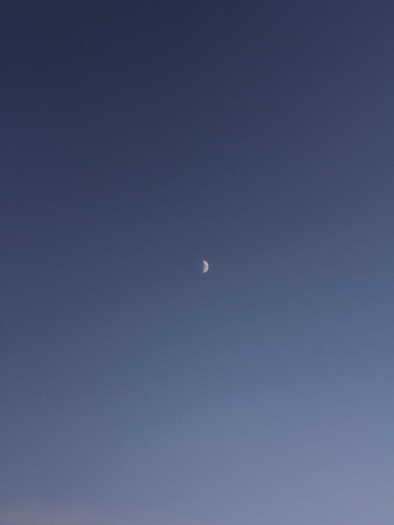 Crescent Moon on the Background of a Clear Sky 