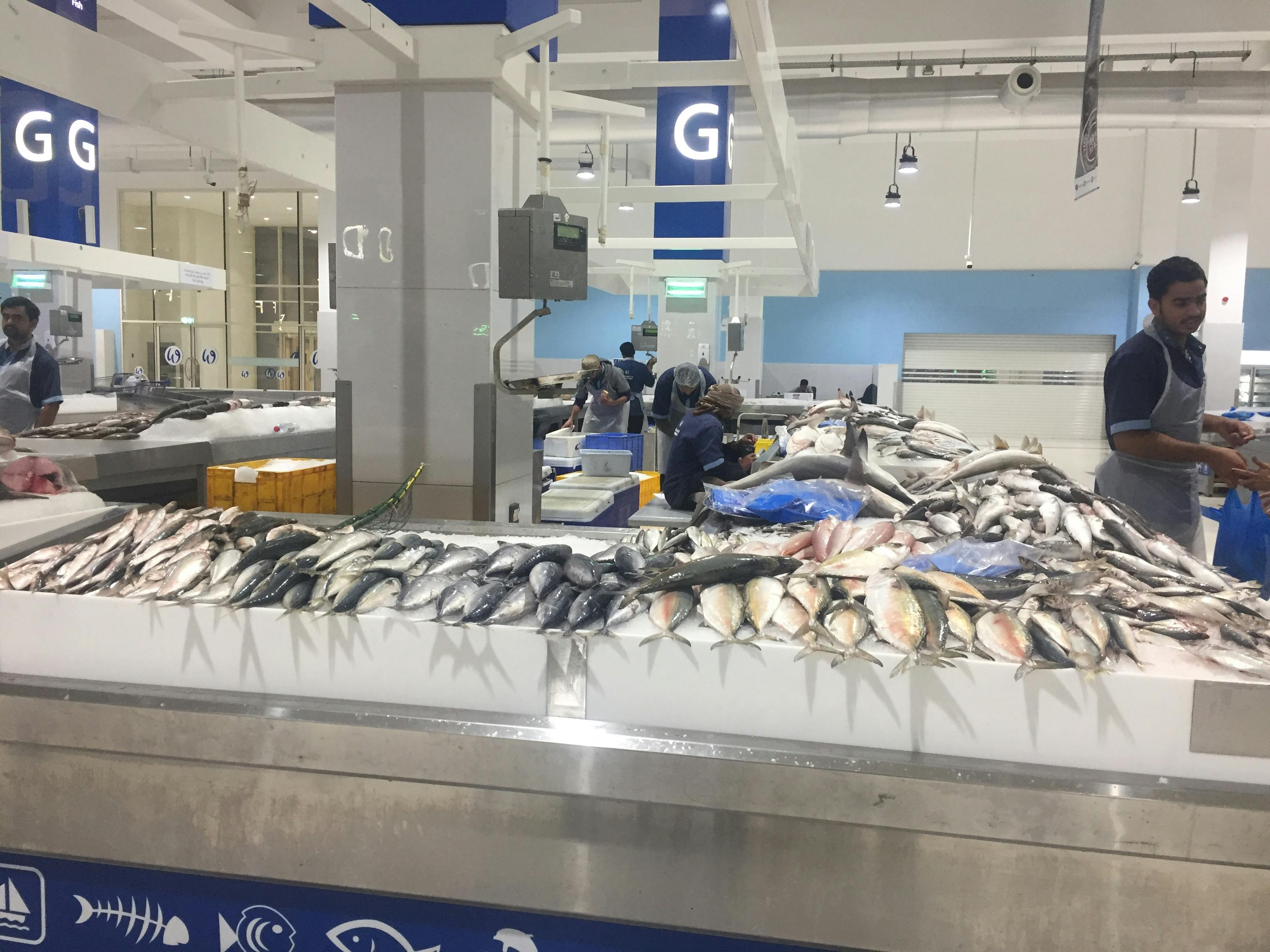 Free stock photo of fish, fish market, fish shop