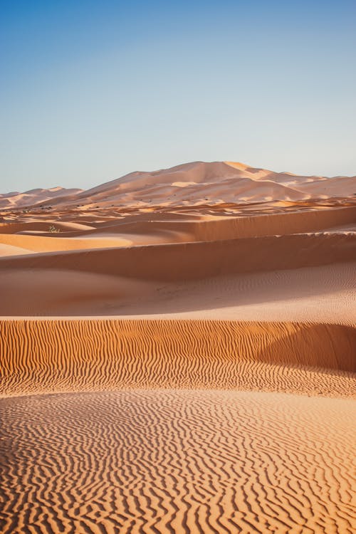 Photos gratuites de aride, désert, dunes