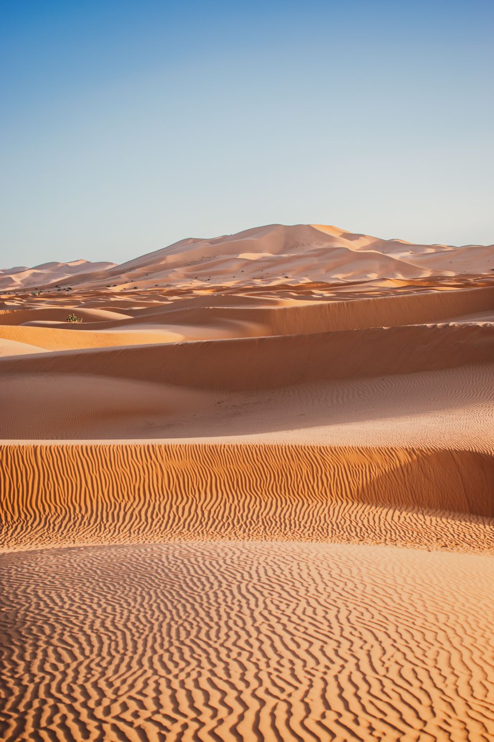 Sahara — Merzouga — photo 1