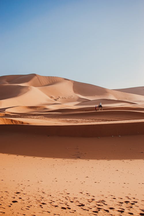 Imagine de stoc gratuită din deșert, dune, fotografiere verticală