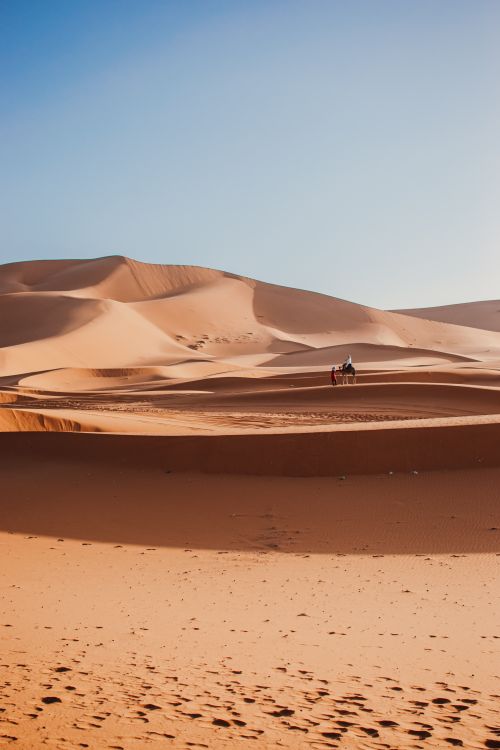 Free A breathtaking view of Merzouga's sand dunes in Morocco during sunrise, with soft lighting and warm tones. Stock Photo
