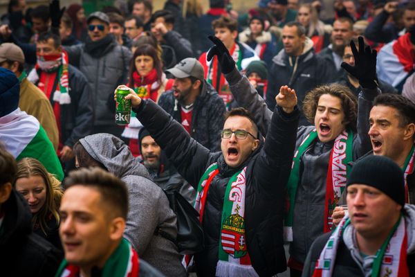 Football fans cheering with scarves and drinks