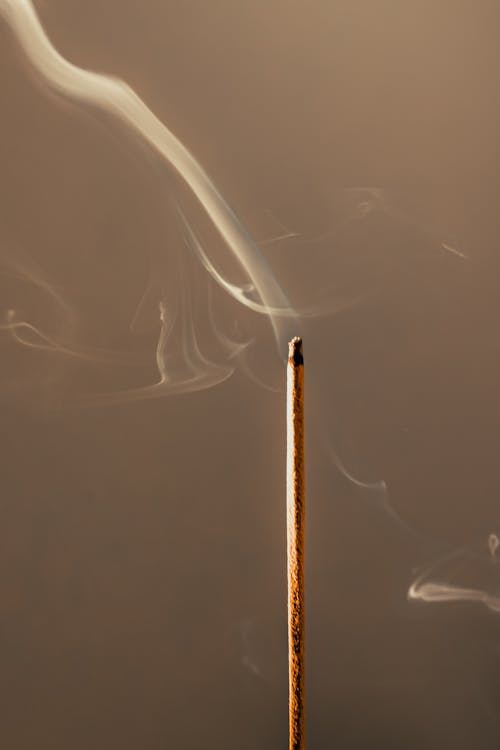 垂直拍摄, 抽煙, 烟雾 的 免费素材图片