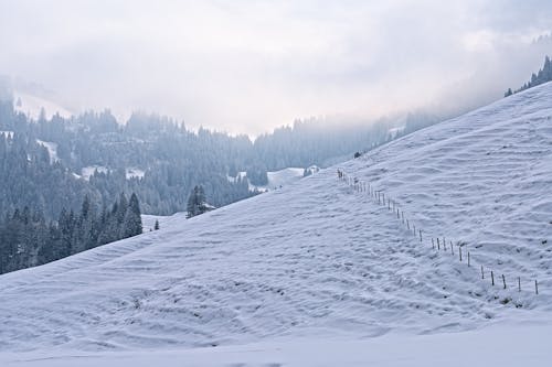 Snow Covered Hill Slope