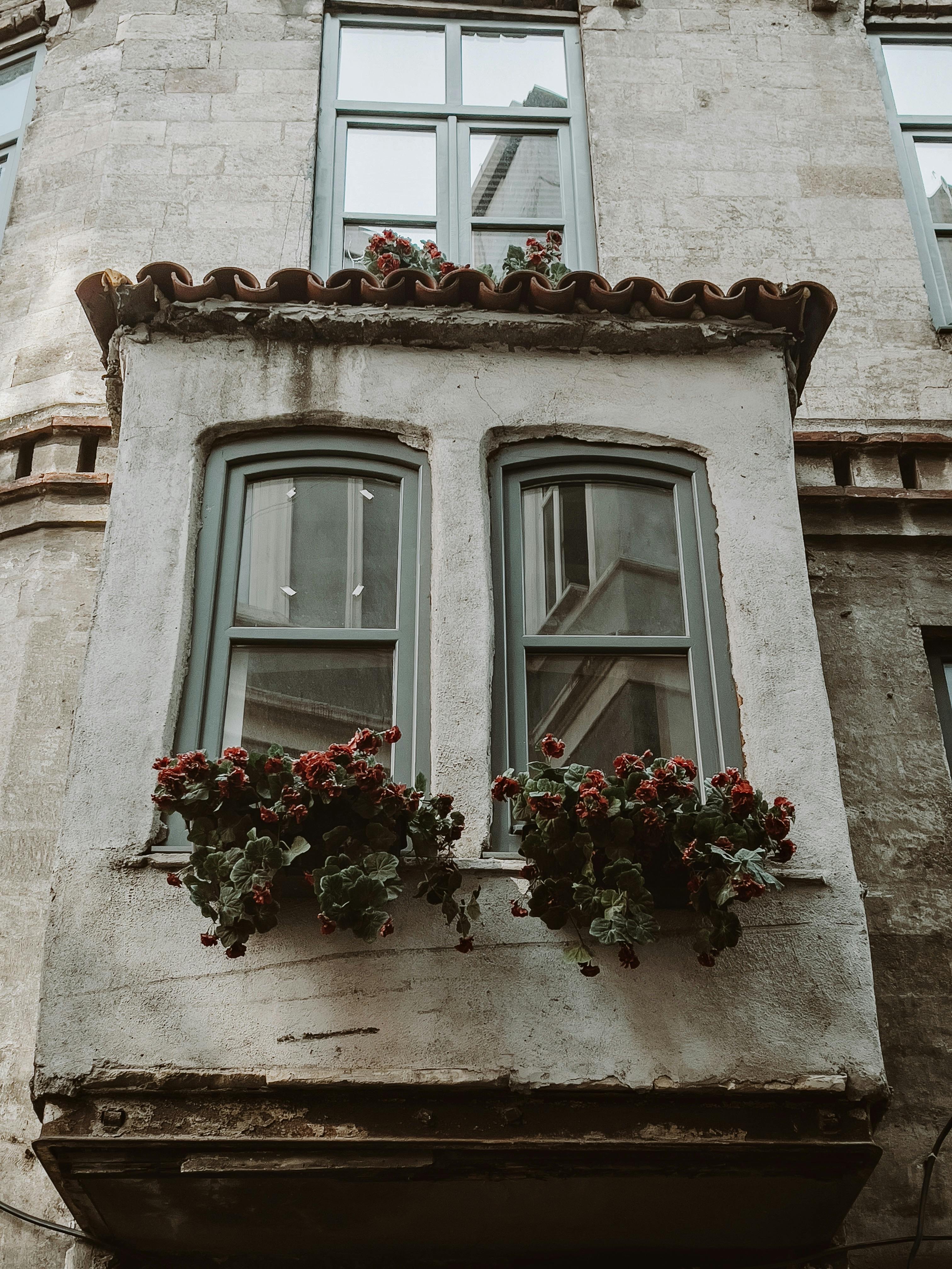 Flower Pots in Windows of Enclosed Balcony · Free Stock Photo