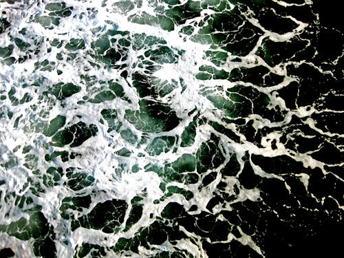 Water Foam on Sea Shore