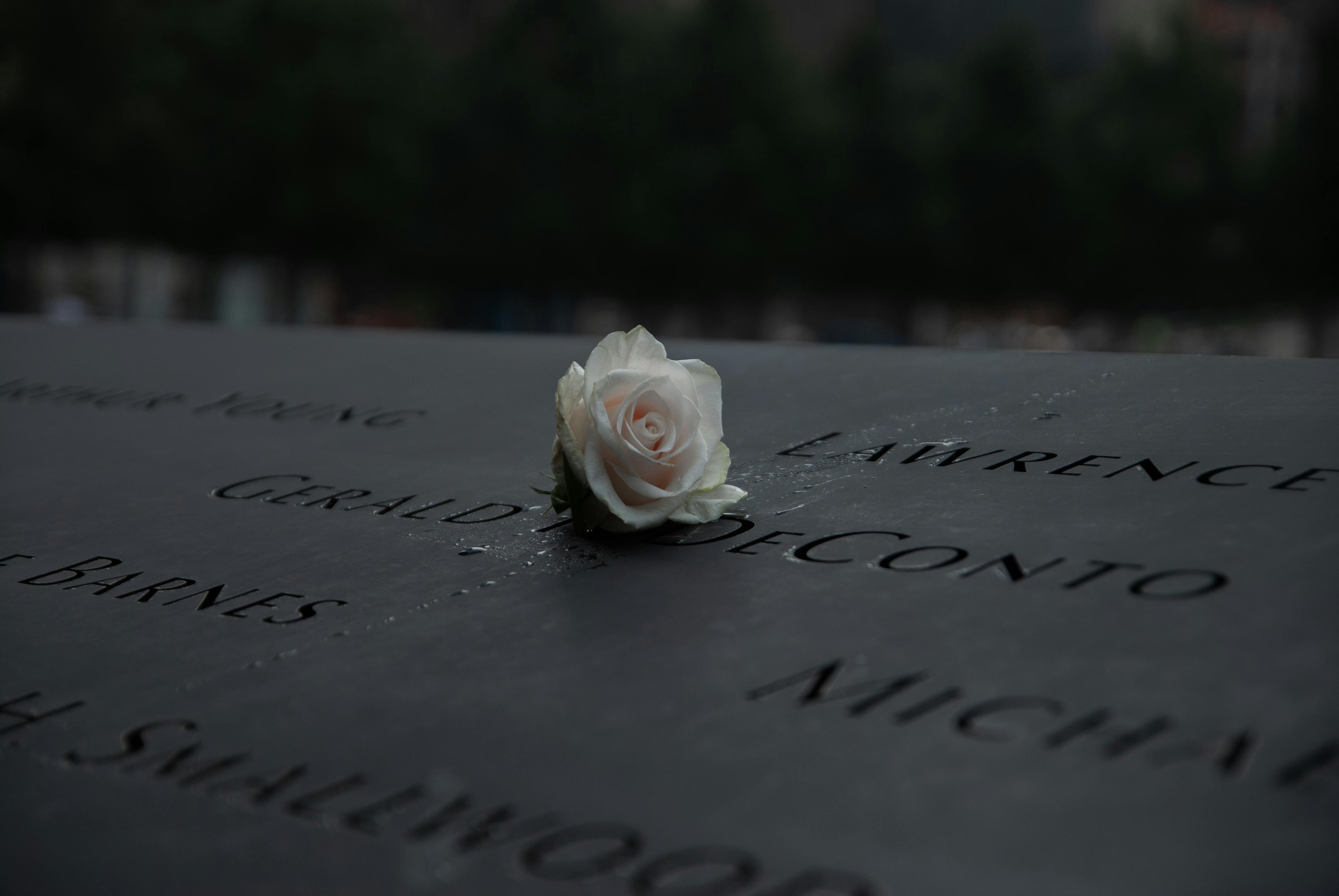 Free stock photo of 9/11, manhattan, memorial