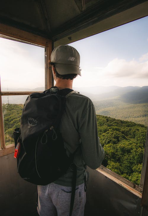 Back View of Man on Tower in Forest